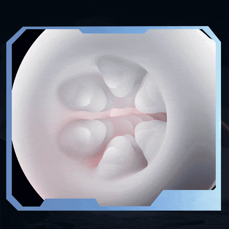 SVAKOM 5 Thrusting Modes Blowjob Sex Toy Stroker Adult Toys for Men