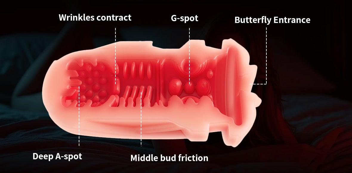 Save $35.26 Bundle Deal