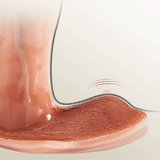 【+$3 for Lube!】Thrusting Anal dildo 5.1'' Perineal Stimulation For Improve Prostate Health