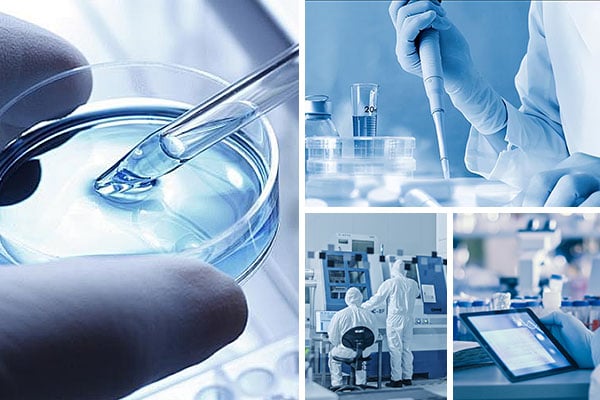 Water-Based Lubricant Chocolate Flavored Lube Phytoextraction Non Toxic