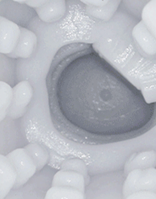 Phantom Pleasure 5 Suction 10 Vibration 3-Language Voice Masturbator With Heated Base Male Sex Toys