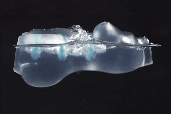 Luna New Technology Pocket Pussy Transparent TPE Male Sex Toy Handheld Soft Space